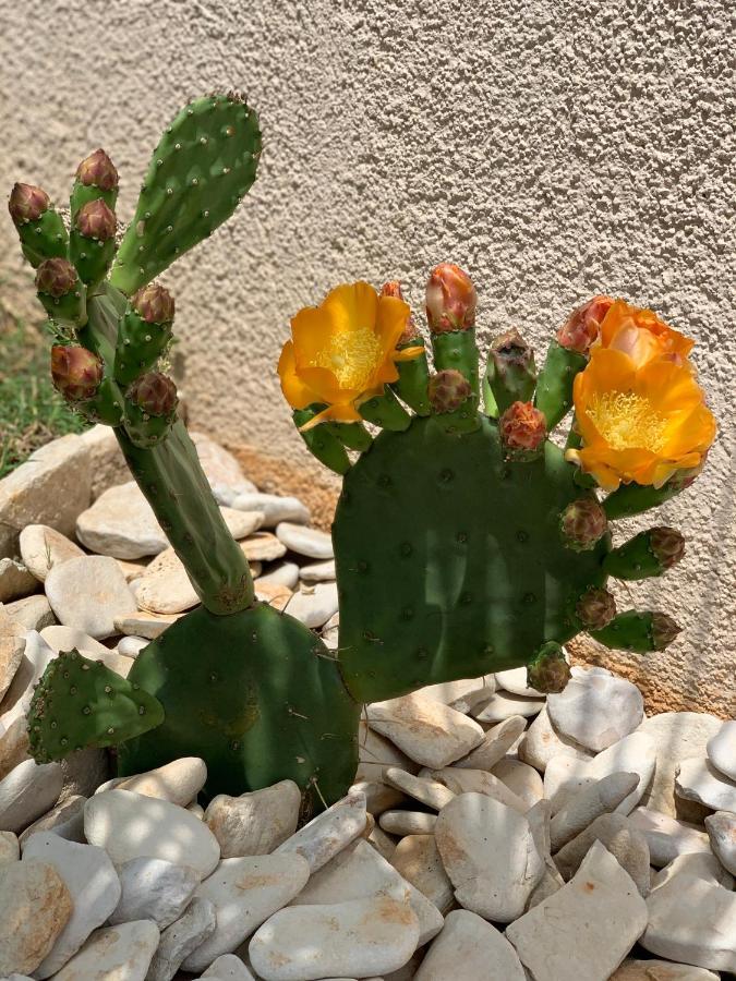 Natura 6 메덜린 외부 사진